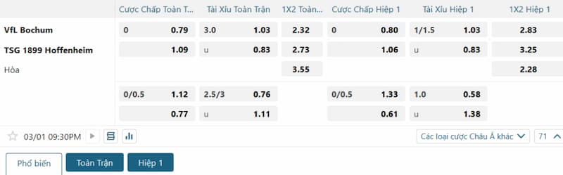 Bảng tỷ lệ kèo bóng đá trận đấu Bochum vs Hoffenheim