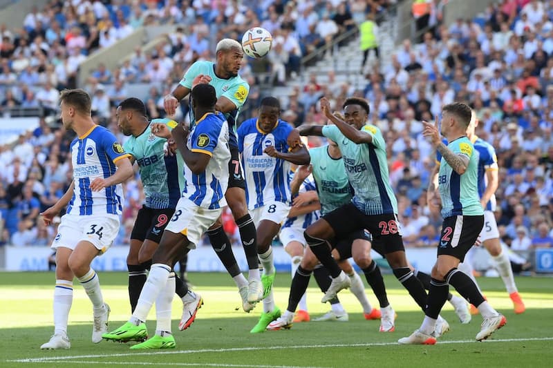 Soi kèo tài xỉu Newcastle vs Brighton